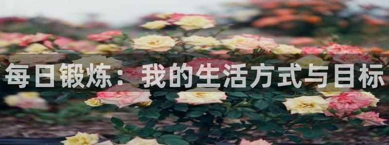 球速体育：每日锻炼：我的生活方式与目标