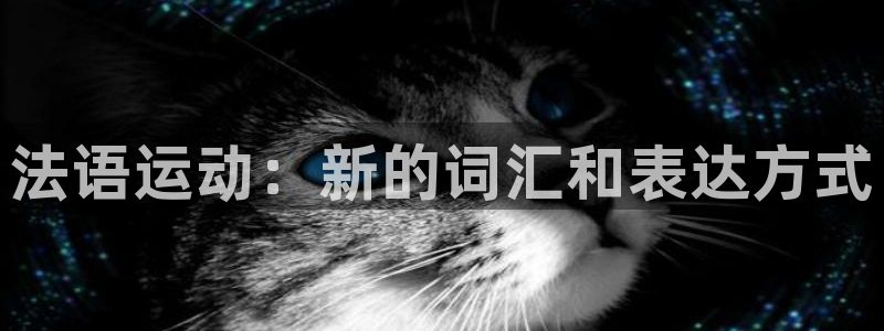 球速体育：法语运动：新的词汇和表达方式
