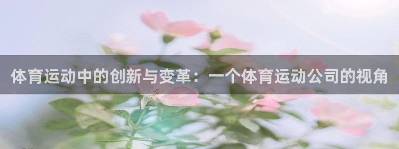 球速体育：体育运动中的创新与变革：一个体育运动公司的视角