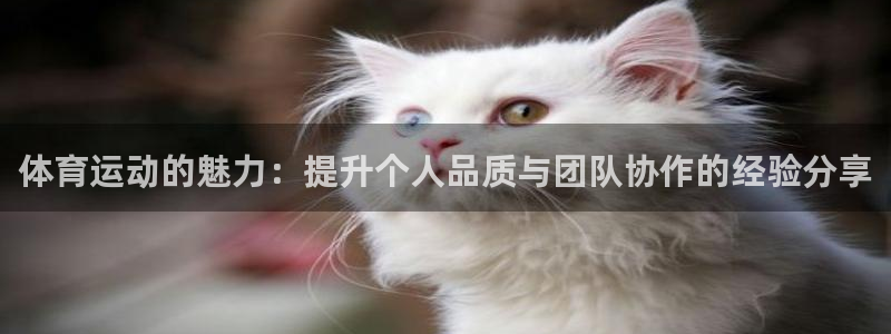 球速体育：体育运动的魅力：提升个人品质与团队协作的经验分享