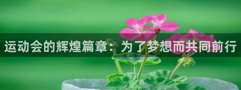 球速体育：运动会的辉煌篇章：为了梦想而共同前行