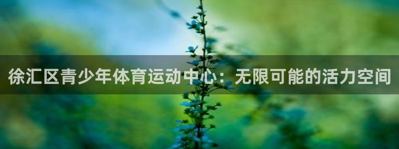 球速体育：徐汇区青少年体育运动中心：无限可能的活力空间