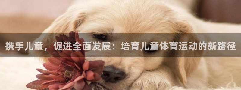 球速体育：携手儿童，促进全面发展：培育儿童体育运动的新路径