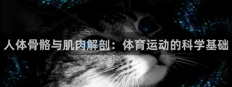 球速体育：人体骨骼与肌肉解剖：体育运动的科学基础