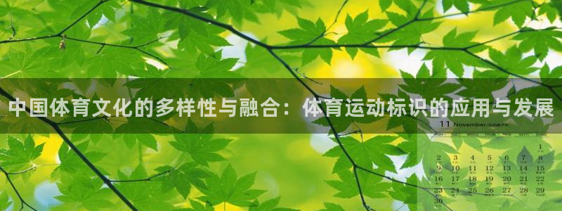 球速体育：中国体育文化的多样性与融合：体育运动标识的应用与发展
