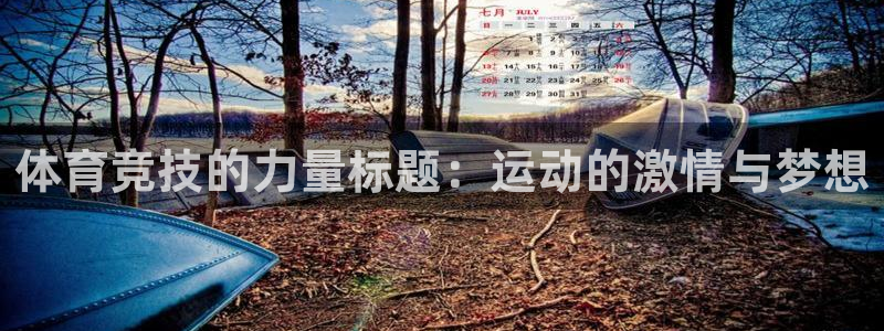 球速体育：体育竞技的力量标题：运动的激情与梦想