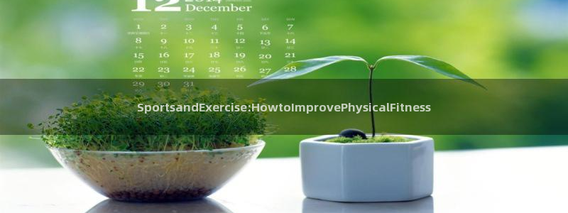 球速体育：SportsandExercise:HowtoImprovePhysicalFitness
